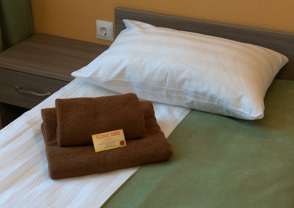 Гостиница Камелот Псков-198