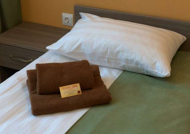 Гостиница Камелот Псков-197