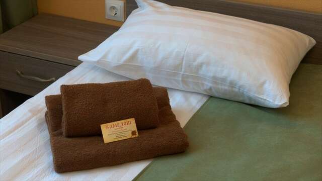 Гостиница Камелот Псков-14