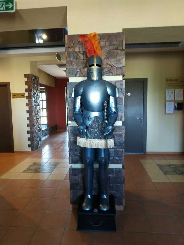 Гостиница Камелот Псков-243